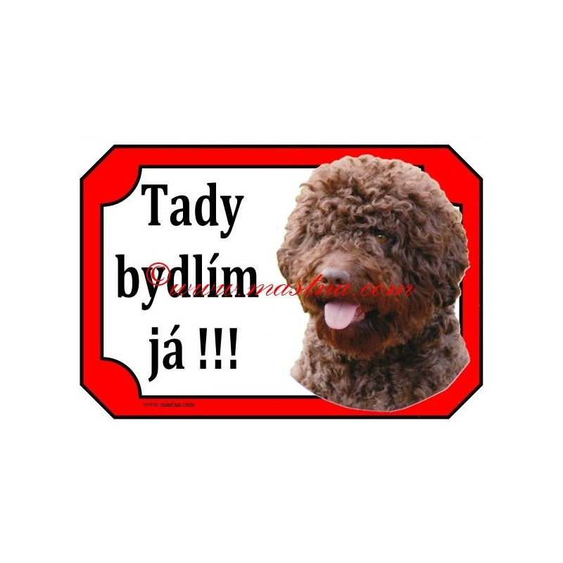 Tabulka lagotto romagnolo