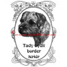 Tabulka border teriér