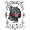 Tabulka cane corso