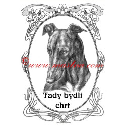 Tabulka chrt galgo, greyhound