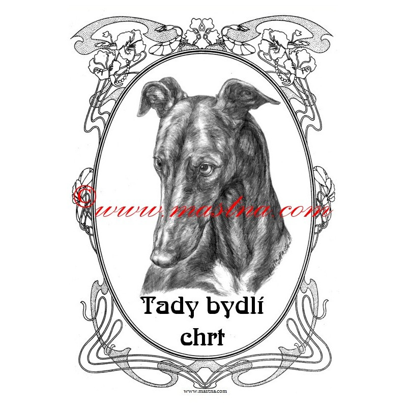 Tabulka chrt galgo, greyhound