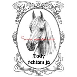 Tabulka shagya arab, kůň, koně