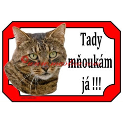 Tabulka kočka evropská