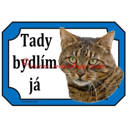 Tabulka kočka evropská