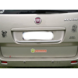 Irský vlkodav - wolfhound