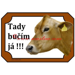 Tabulka kráva jersey, skot