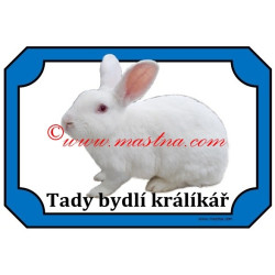 Tabulka králík český albín