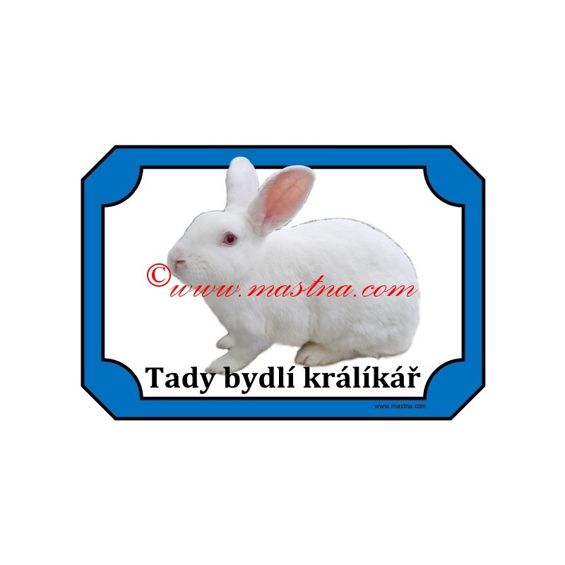 Tabulka králík český albín