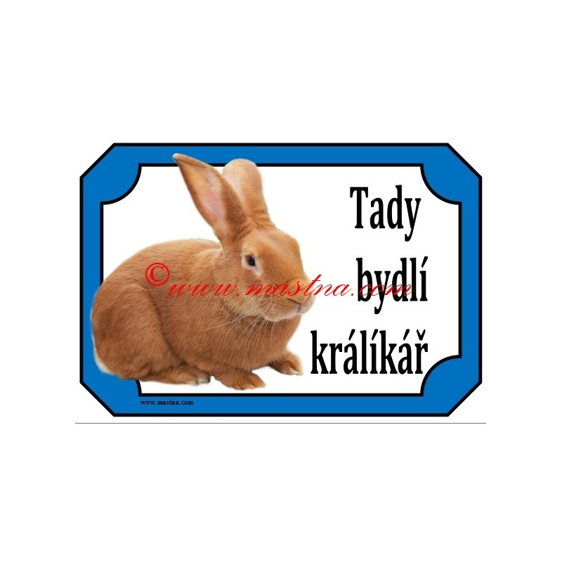 Tabulka králík burgundský