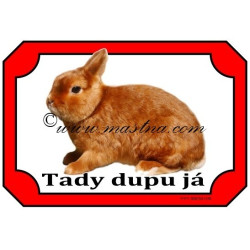 Tabulka králík zakrslý saténový