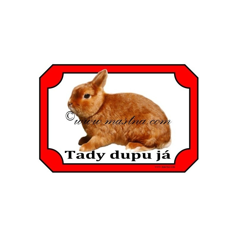 Tabulka králík zakrslý saténový