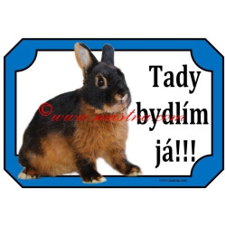 Tabulka králík zakrslý tříslový