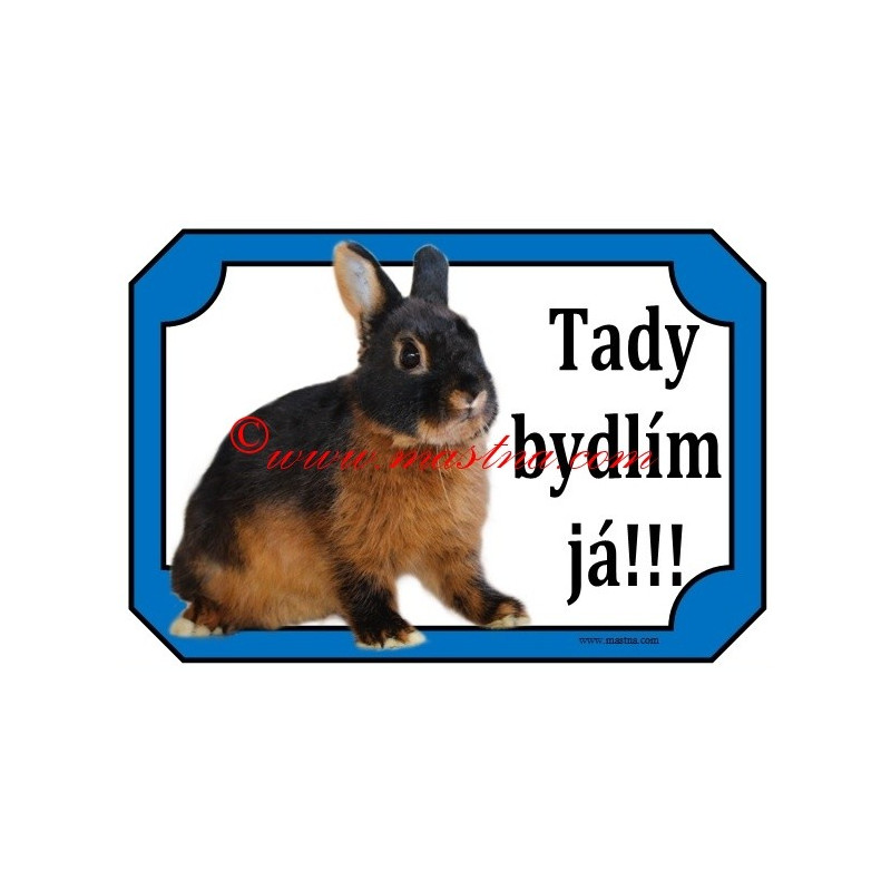 Tabulka králík zakrslý tříslový