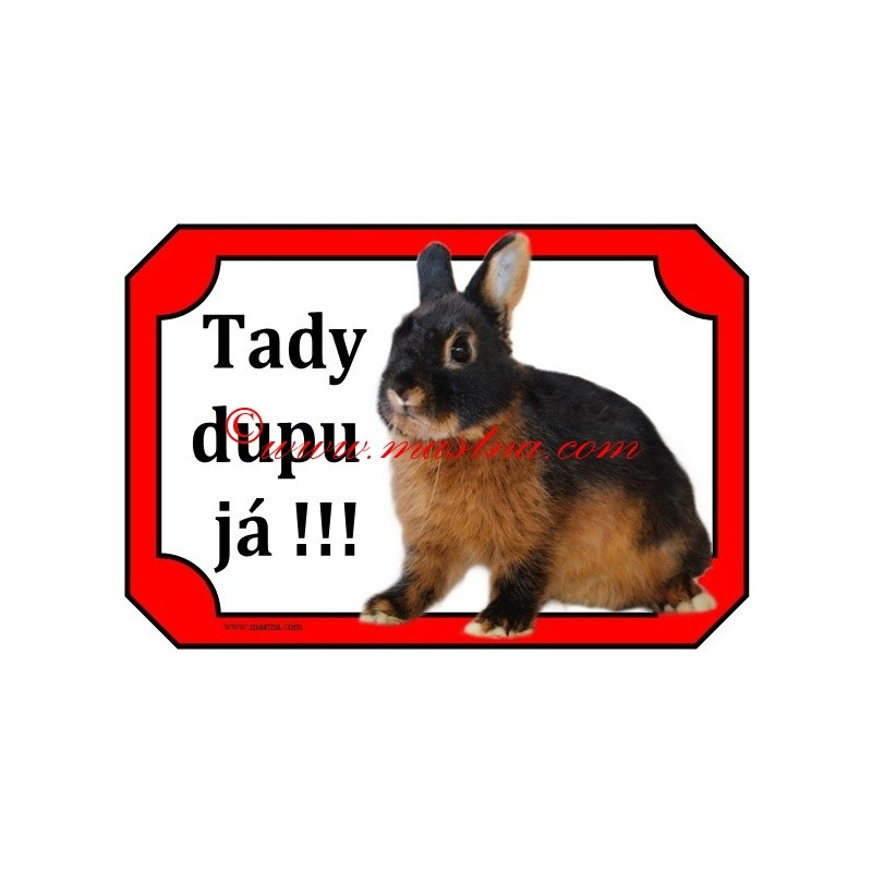 Tabulka králík zakrslý tříslový