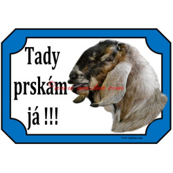 Tabulka kozel anglonubijský