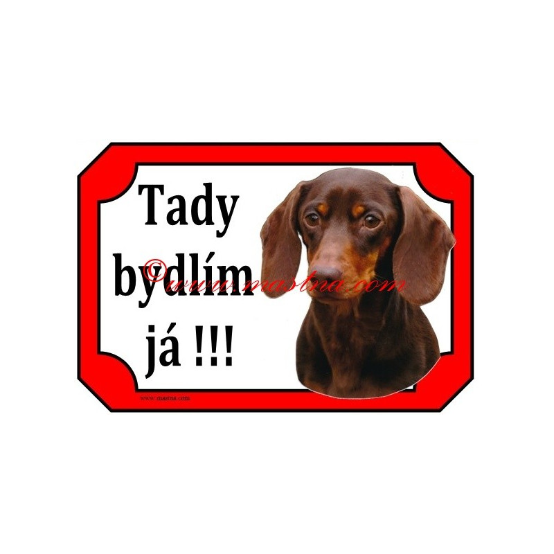 Tabulka jezevčík hladkosrstý