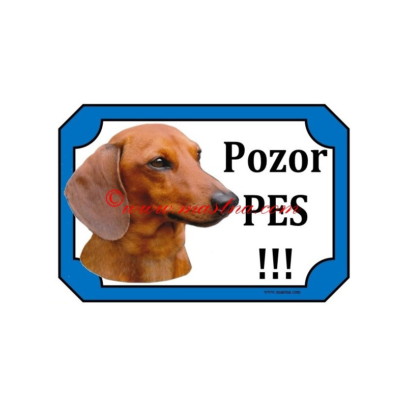 Tabulka jezevčík hladkosrstý