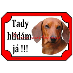Tabulka jezevčík hladkosrstý
