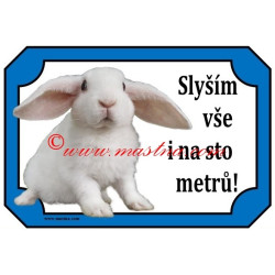 Tabulka králík zakrslý beran rex