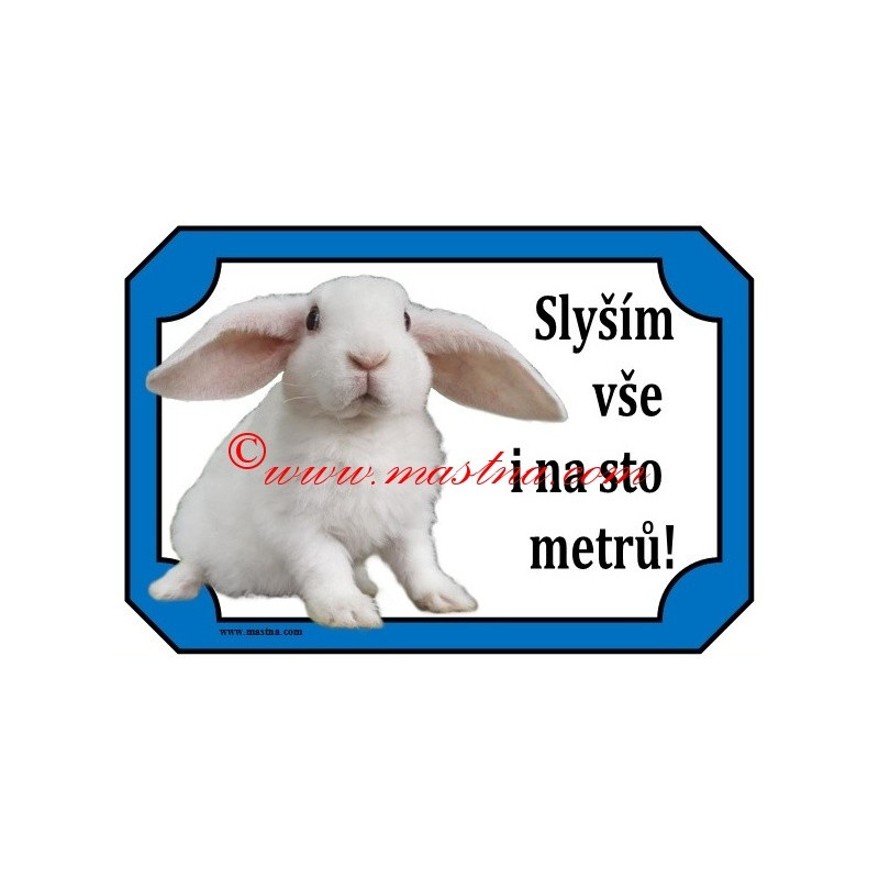 Tabulka králík zakrslý beran rex