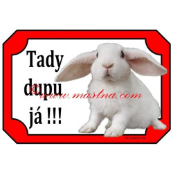 Tabulka králík zakrslý beran rex