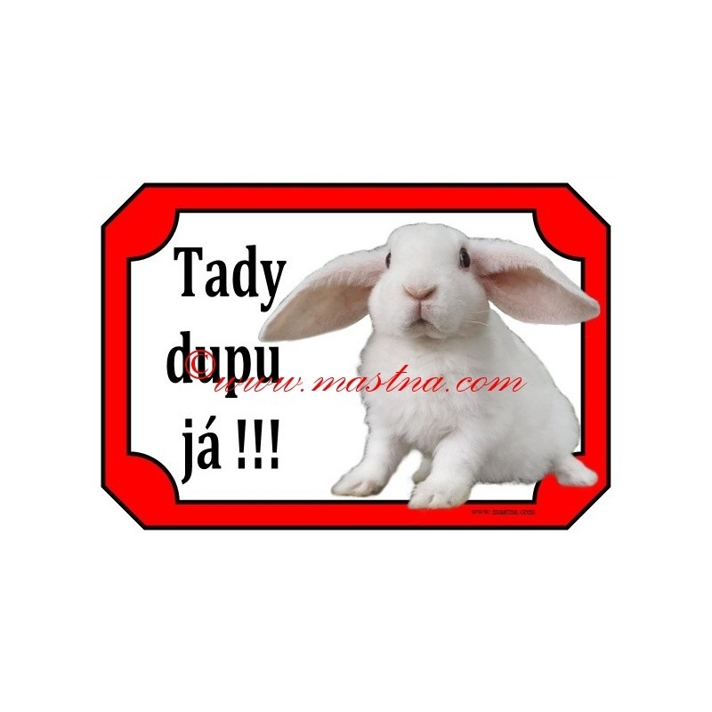 Tabulka králík zakrslý beran rex