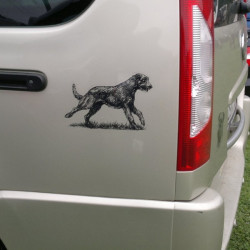 Irský vlkodav - wolfhound