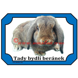 Tabulka králík zakrslý beran divoce zbarvený