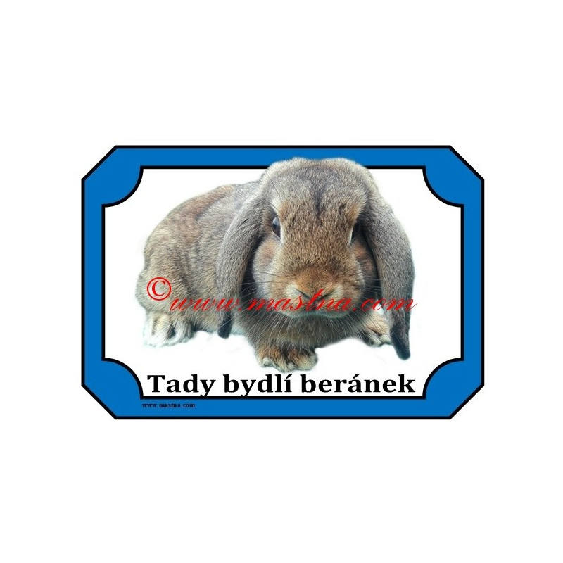 Tabulka králík zakrslý beran divoce zbarvený