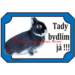 Tabulka králík zakrslý bílopesíkatý