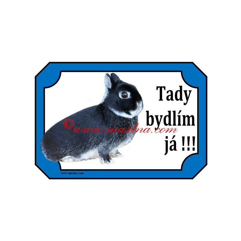 Tabulka králík zakrslý bílopesíkatý