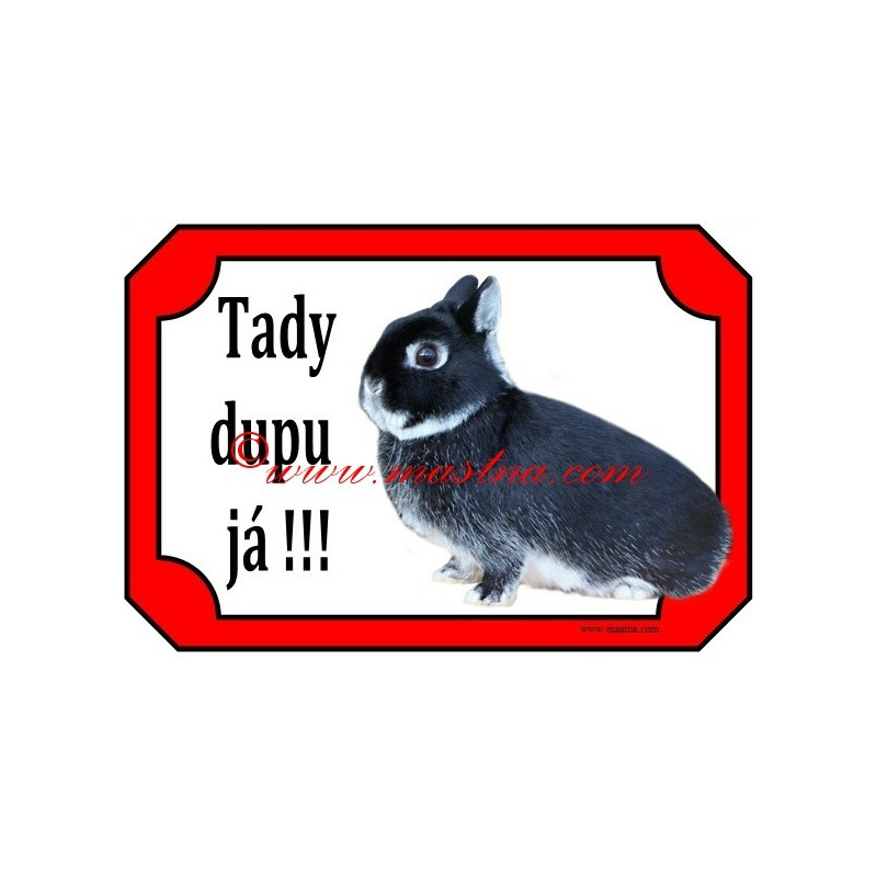 Tabulka králík zakrslý bílopesíkatý