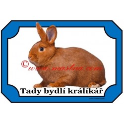 Tabulka králík český červený