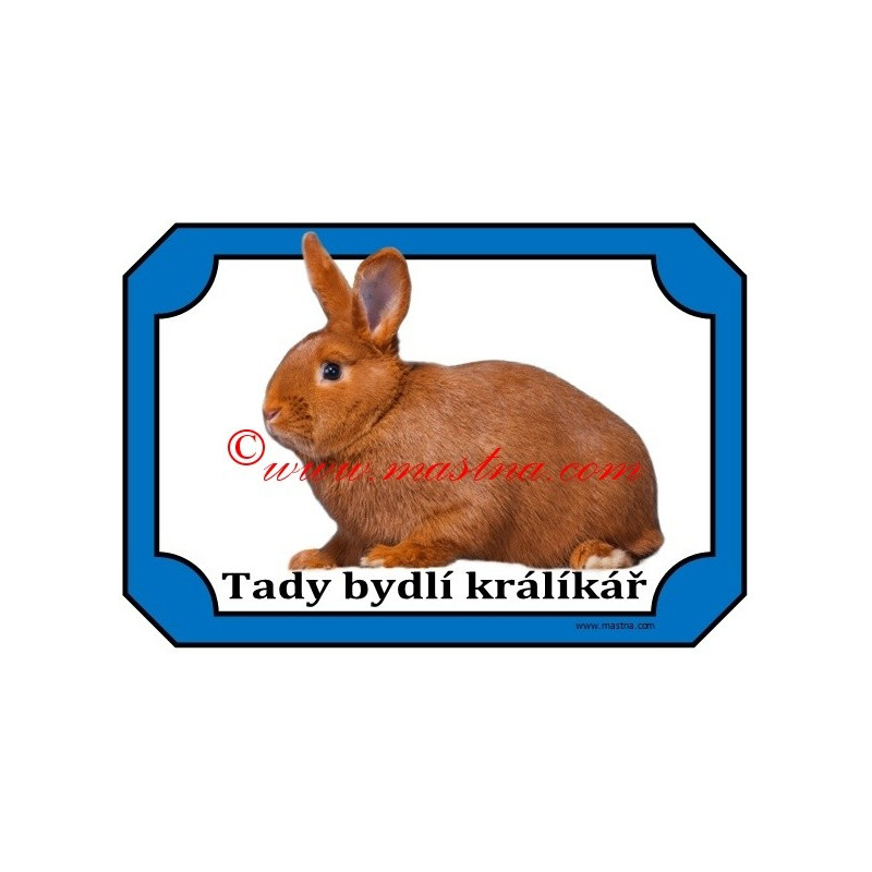 Tabulka králík český červený