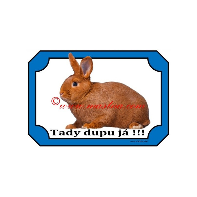 Tabulka králík český červený