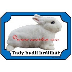 Tabulka králík hermelín bílý modrooký