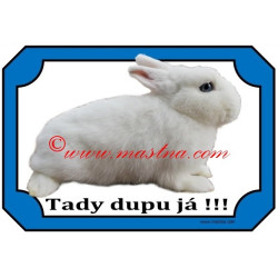 Tabulka králík hermelín bílý modrooký