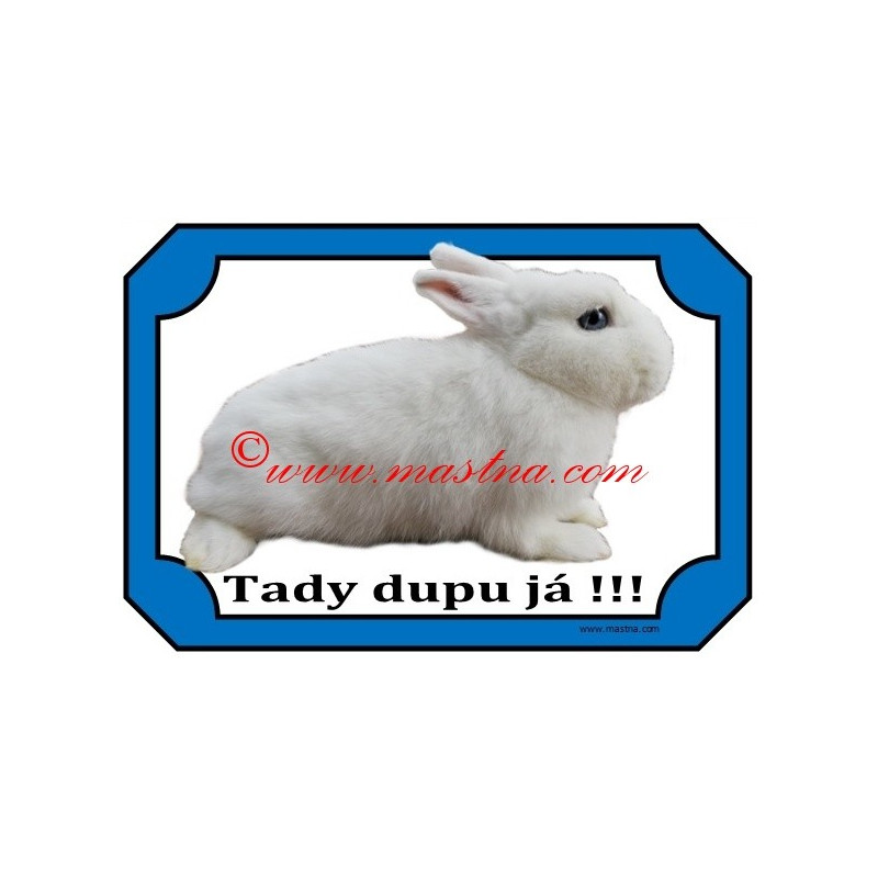 Tabulka králík hermelín bílý modrooký