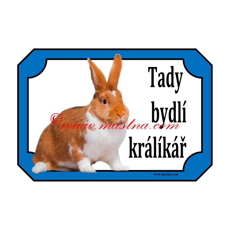 Tabulka králík meklenburský strakáč červený