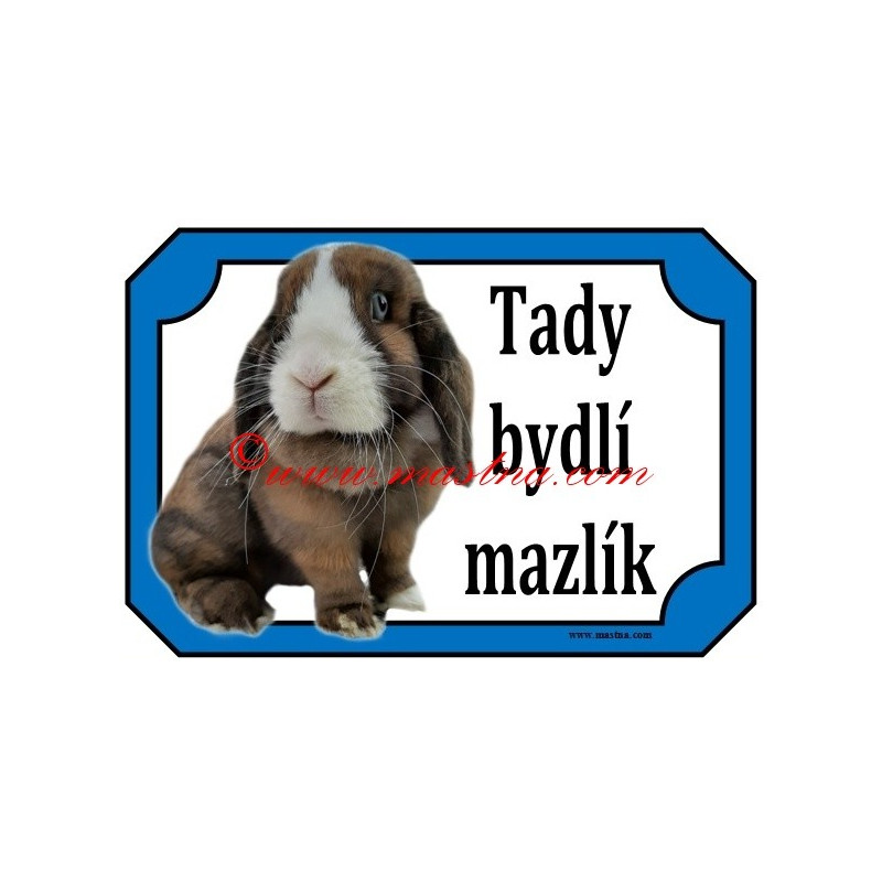 Tabulka králík zakrslý minilop