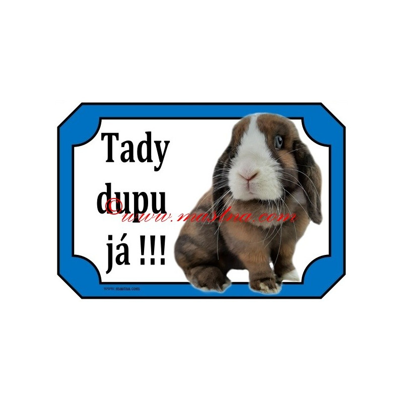 Tabulka králík zakrslý minilop