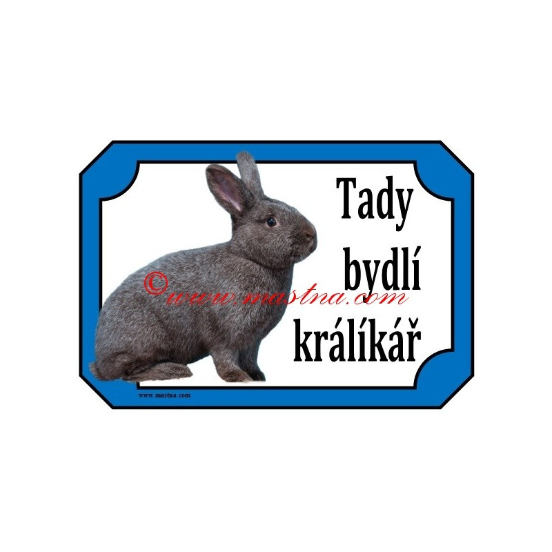 Tabulka králík stříbřitý havanovitý