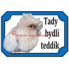 Tabulka králík teddy, dlouhosrstý