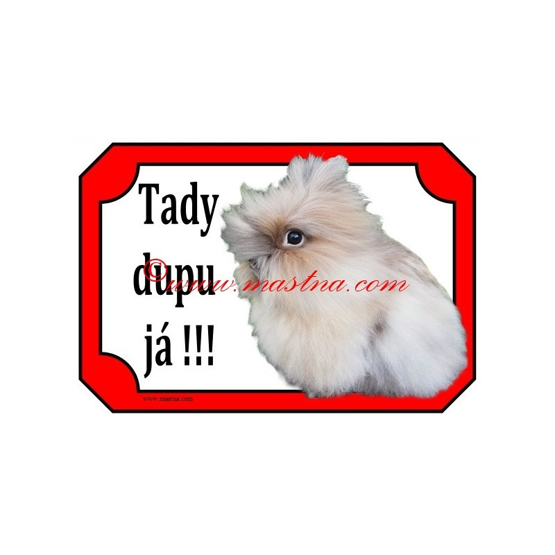 Tabulka králík teddy, dlouhosrstý