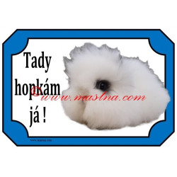 Tabulka králík teddy, dlouhosrstý