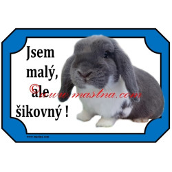 Tabulka králík zakrslý beran modrý