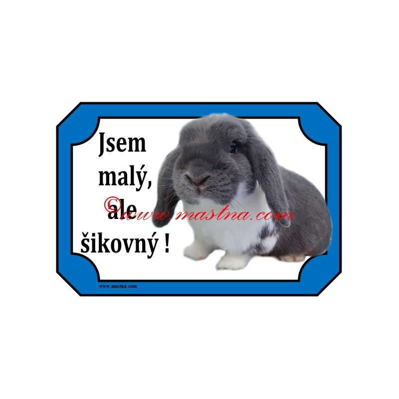 Tabulka králík zakrslý beran modrý