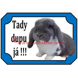 Tabulka králík zakrslý beran modrý