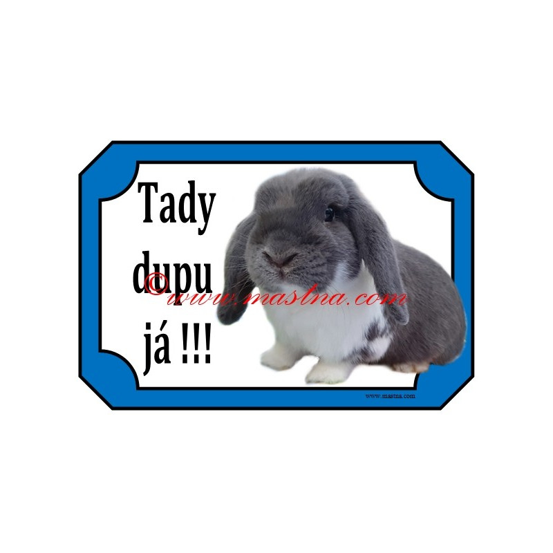 Tabulka králík zakrslý beran modrý