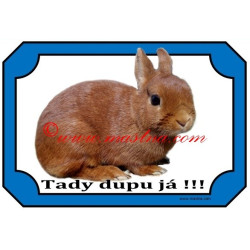 Tabulka králík zakrslý červený